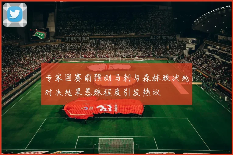 专家团赛前预测马刺与森林狼次轮对决结果悬殊程度引发热议